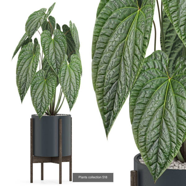 Plants collection vol 04