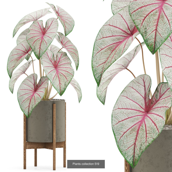 Plants collection vol 04