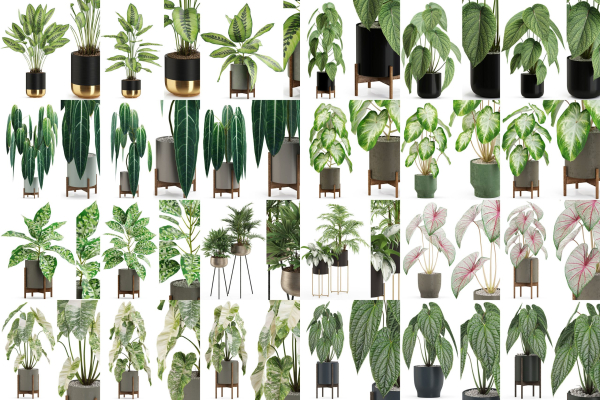 Plants collection vol 04