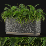 Plants collection vol 06