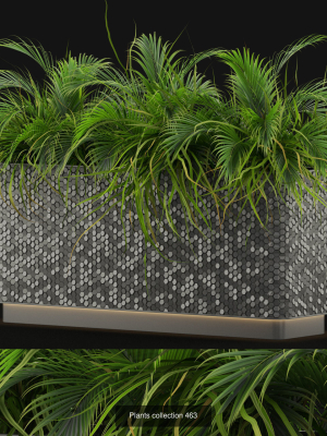 plants-collection-vol-06-3d-model-max-obj-fbx-c4d
