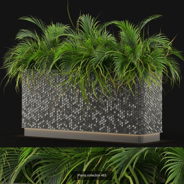 Plants collection vol 06