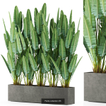 Plants collection vol 06