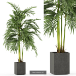 Plants collection vol 06
