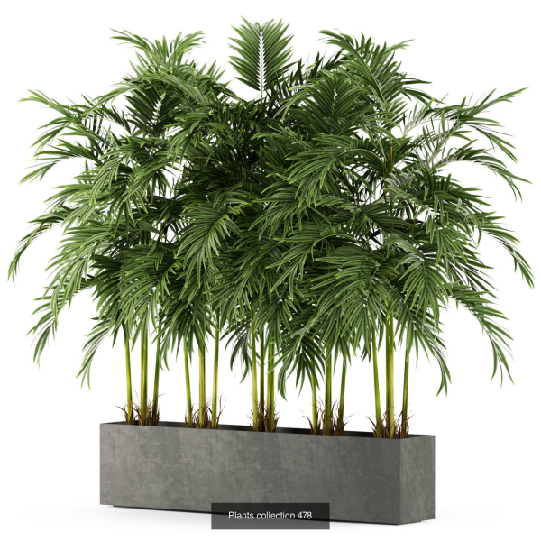 Plants collection vol 06