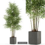 Plants collection vol 06