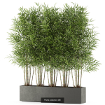 Plants collection vol 06