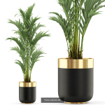 Plants collection vol 06