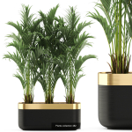 Plants collection vol 06