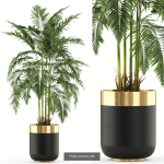 Plants collection vol 06