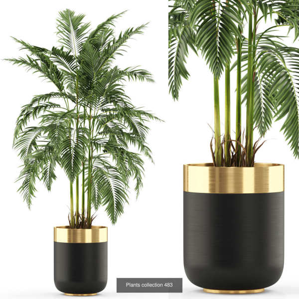 Plants collection vol 06