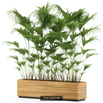 Plants collection vol 06