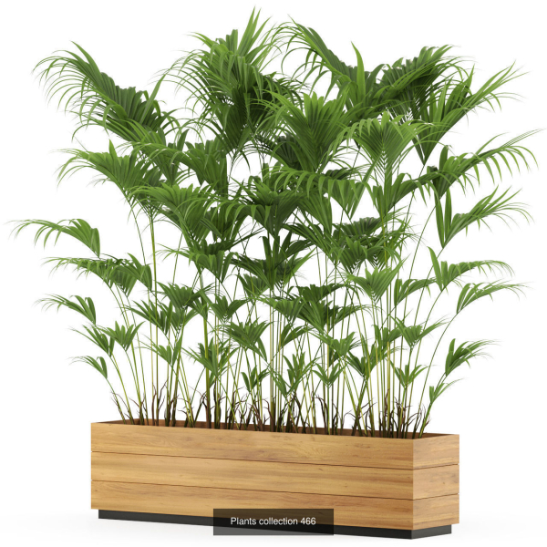 Plants collection vol 06