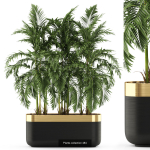 Plants collection vol 06