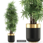 Plants collection vol 06