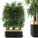 Plants collection vol 06