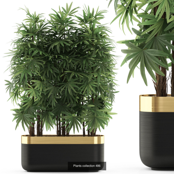 Plants collection vol 06
