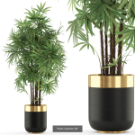 Plants collection vol 06