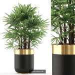 Plants collection vol 06