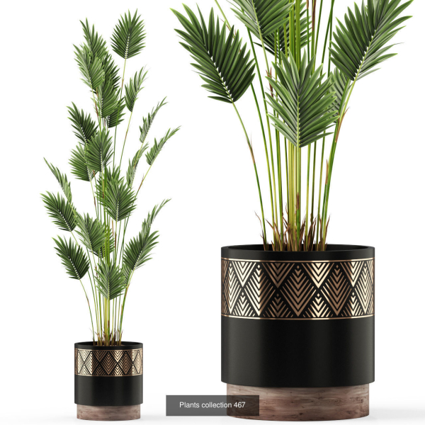 Plants collection vol 06