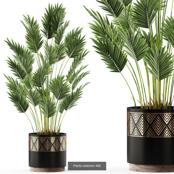 Plants collection vol 06