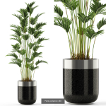 Plants collection vol 06