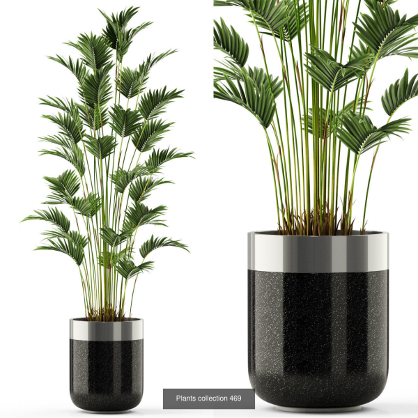 Plants collection vol 06