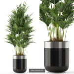 Plants collection vol 06