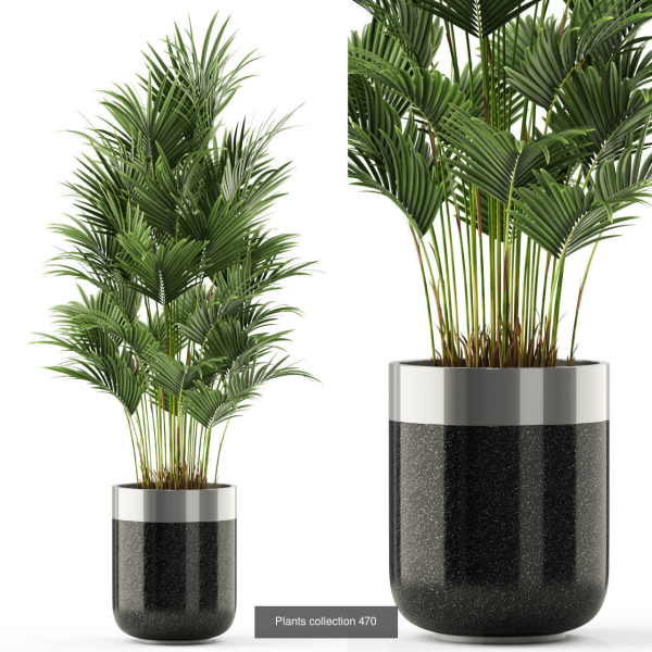 Plants collection vol 06