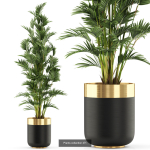 Plants collection vol 06