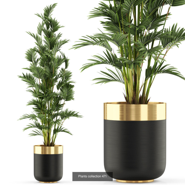 Plants collection vol 06