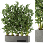 Plants collection vol 06