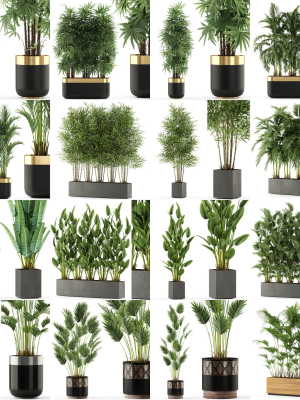 Plants collection vol 06