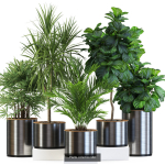 Plants collection vol 09