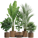 Plants collection vol 09