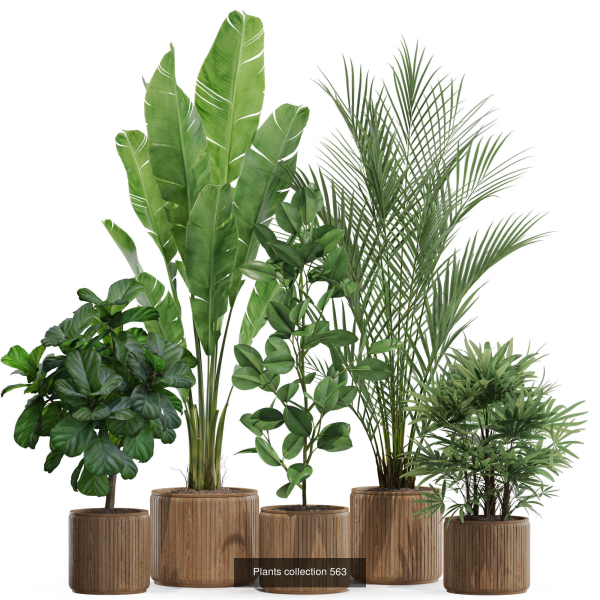 Plants collection vol 09