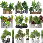 Plants collection vol 09