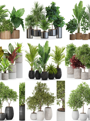 Plants collection vol 09