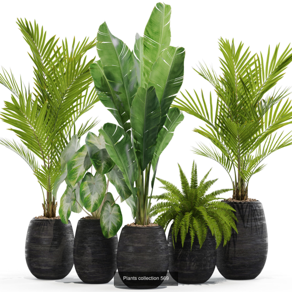 Plants collection vol 09