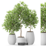 Plants collection vol 09