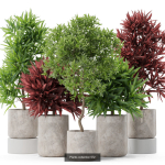 Plants collection vol 09
