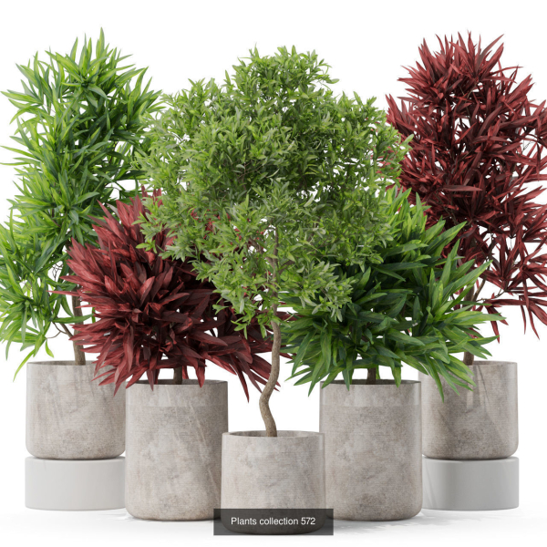 Plants collection vol 09