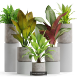 Plants collection vol 09