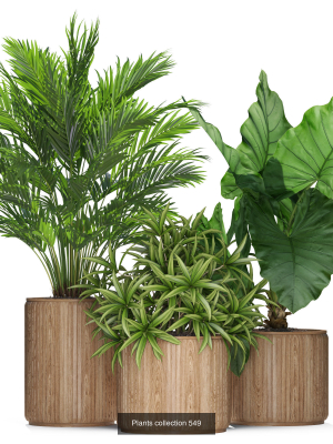 plants-collection-vol-09-3d-model-eb428101d7