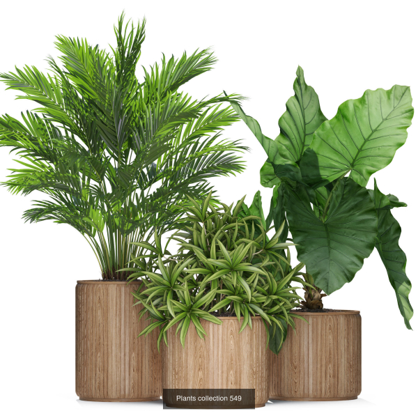 Plants collection vol 09