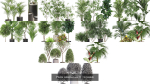 Plants collection vol 11