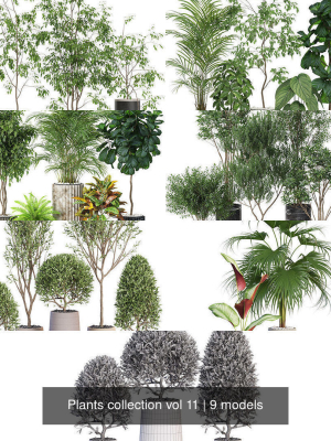 plants-collection-vol-11-3d-model-max-obj-fbx-c4d-blend