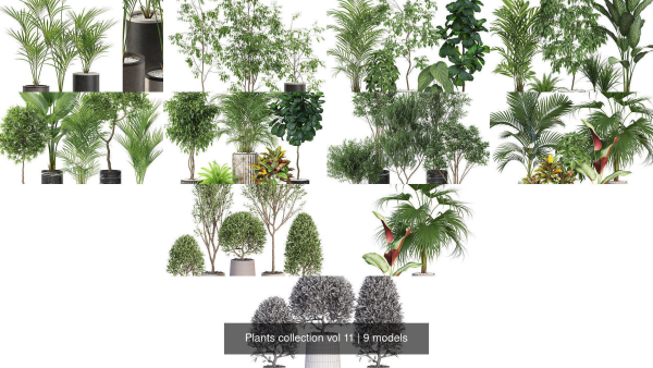 Plants collection vol 11