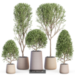 Plants collection vol 11