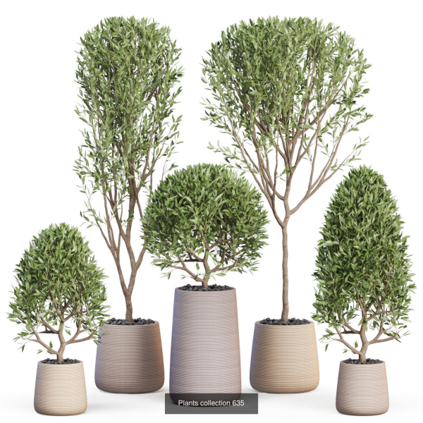 Plants collection vol 11